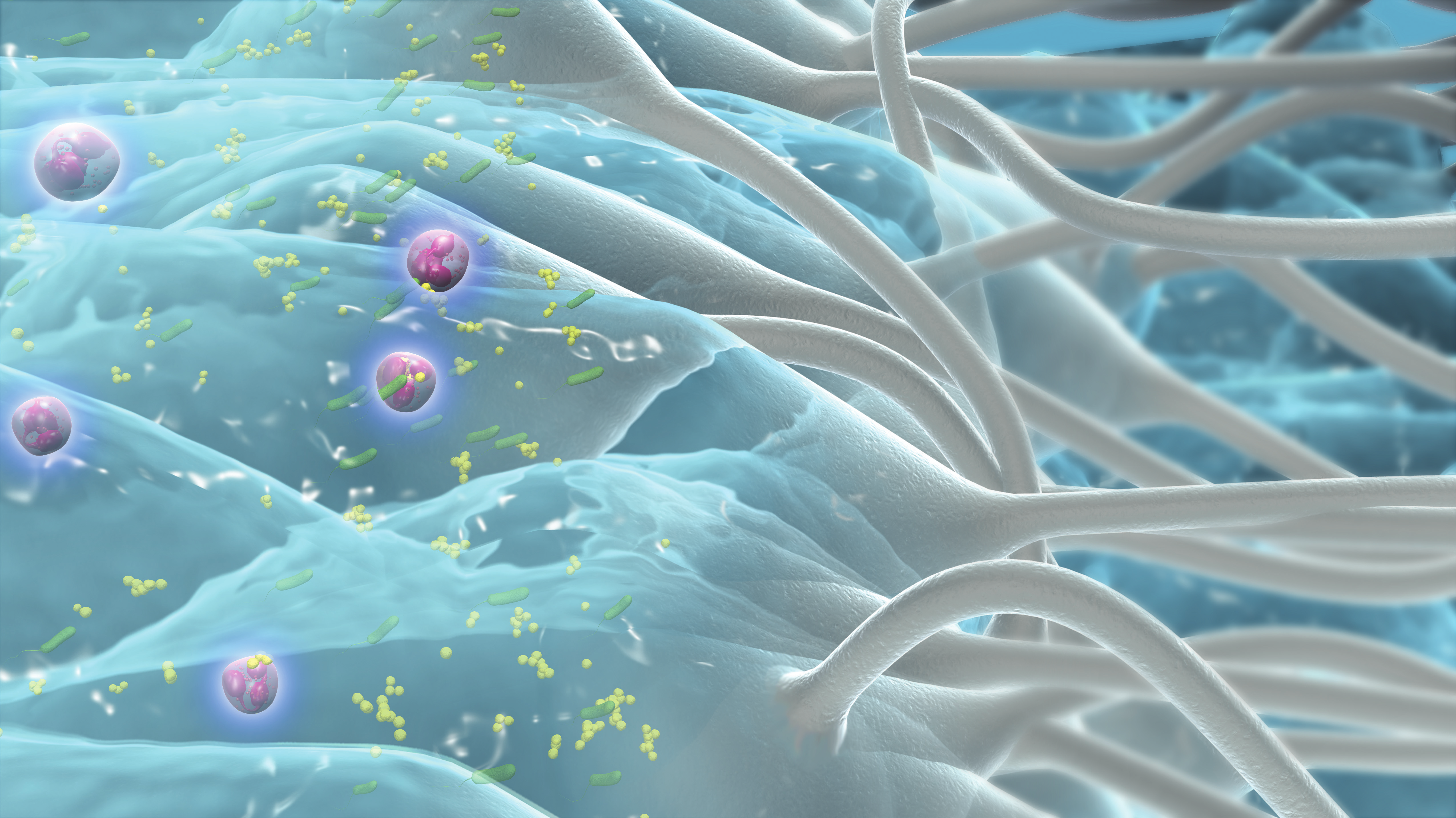 illustration of Hydrofiber Technology