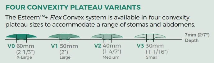 Updated Flex Plateau Guide