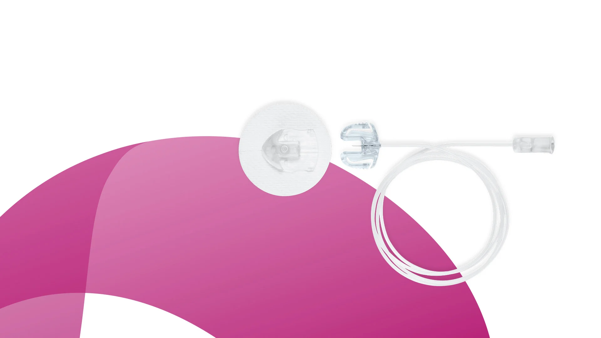 a pair of light bulbs