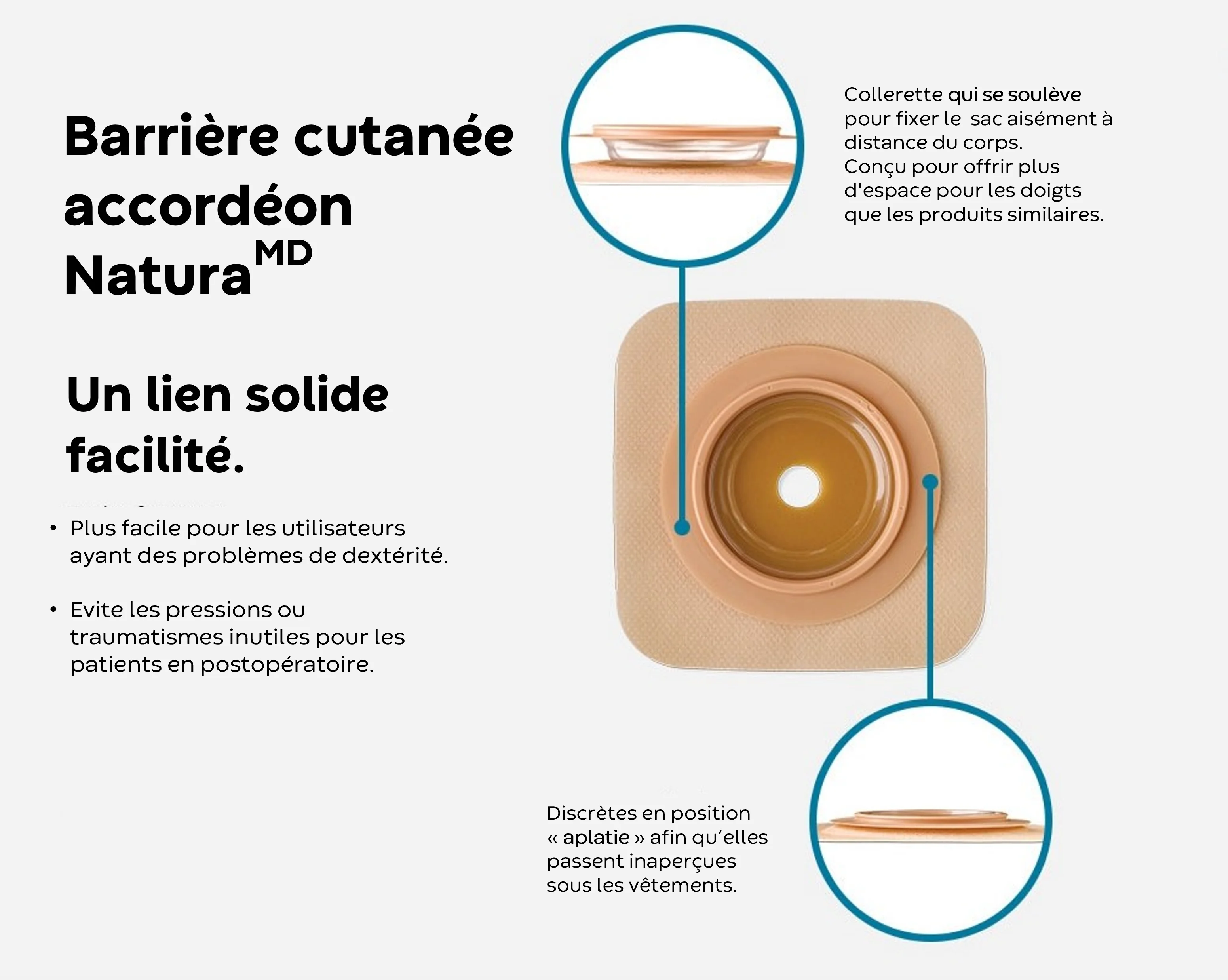 Accordéon Natura