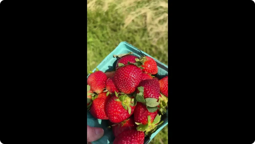 Ein Video-Thumbnail über Meghans peristomale Hautpflegeroutine in den feuchten Sommermonaten.