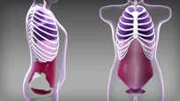 Un video sobre técnicas para minimizar el riesgo de hernia parastomal mediante el manejo de la presión intraabdominal.