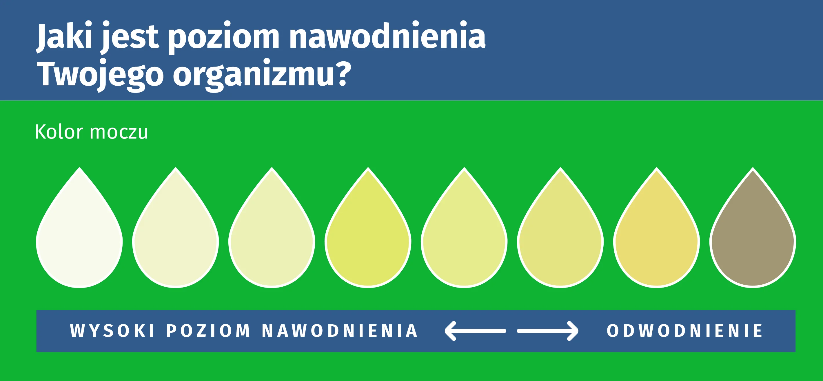 Jaki jest poziom nawodnienia Twojego organizmu?